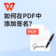 WPS Office免费版PDF签名功能不可用？使用方法