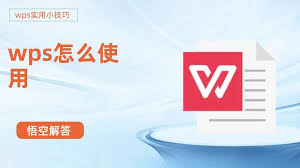WPS Office免费版宏无法运行？安全设置调整指南